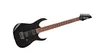 Ibanez Iron Label RGIB21
