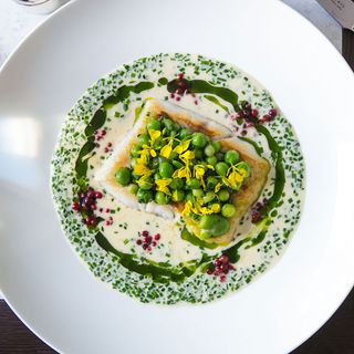 Hake with peas and green beans in a white wine and pink peppercorn sauce.