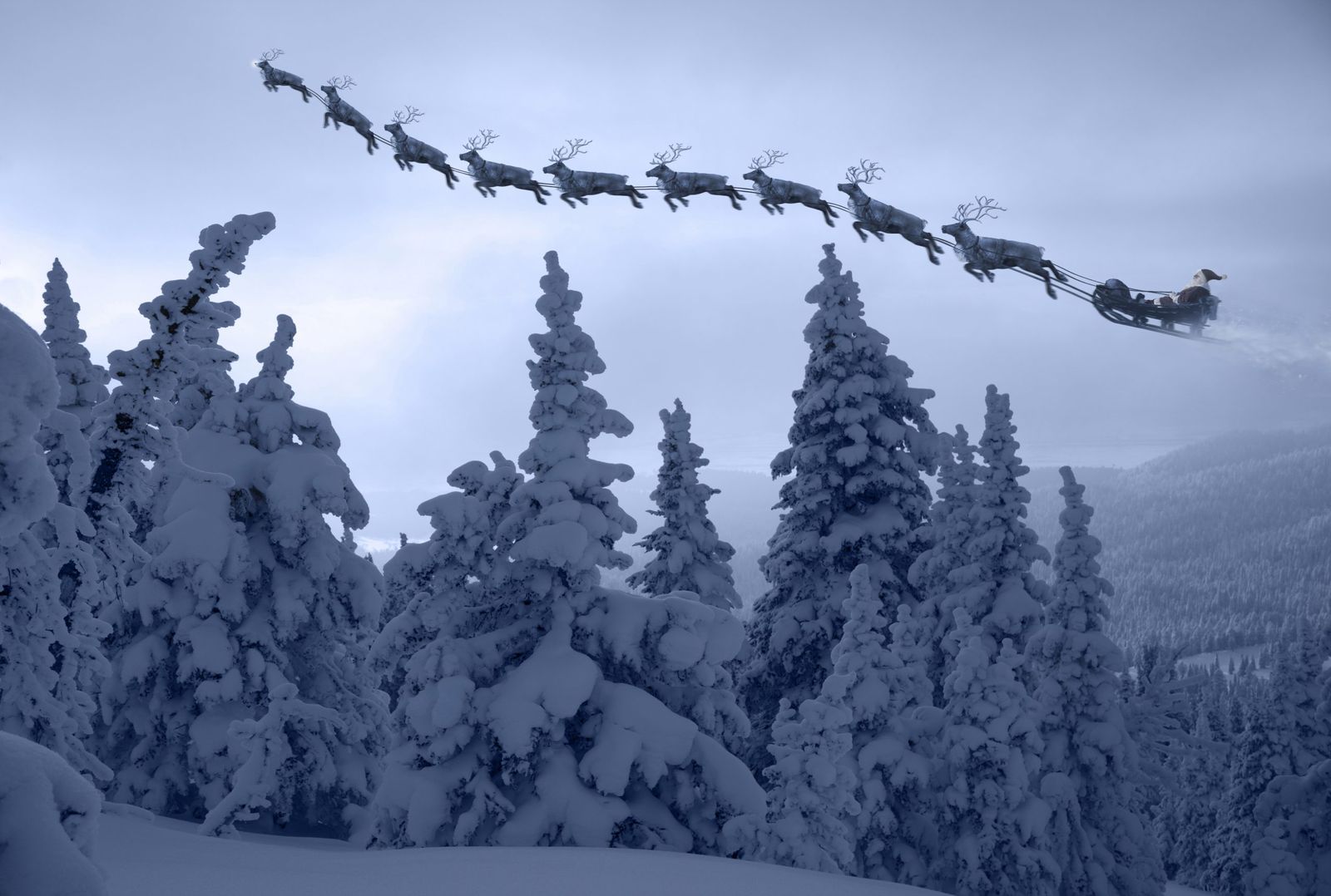 How many reindeer does Santa have and can they really fly? GoodTo