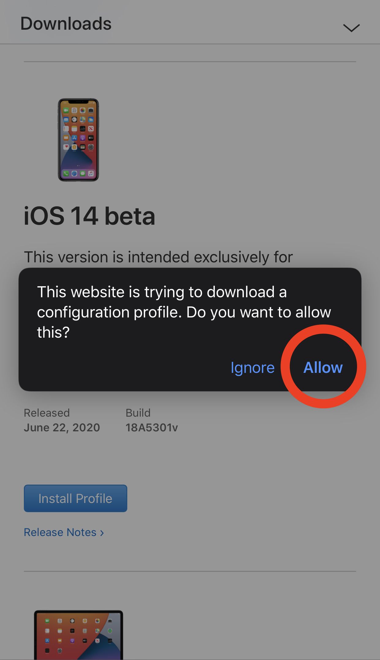 how to get iOS 14 beta