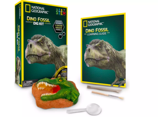 Argos home schooling dinosaur kit