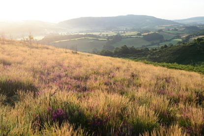 Porlock Vale in Somerset has been one of the beneficiaries of a renewal scheme — and it seems to be working.