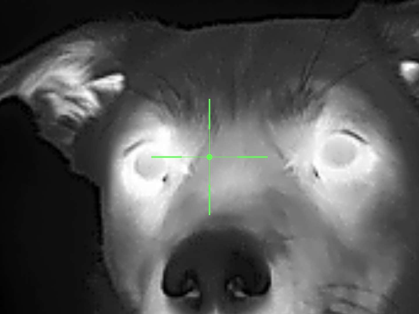 Xinfrared One XH09 captures