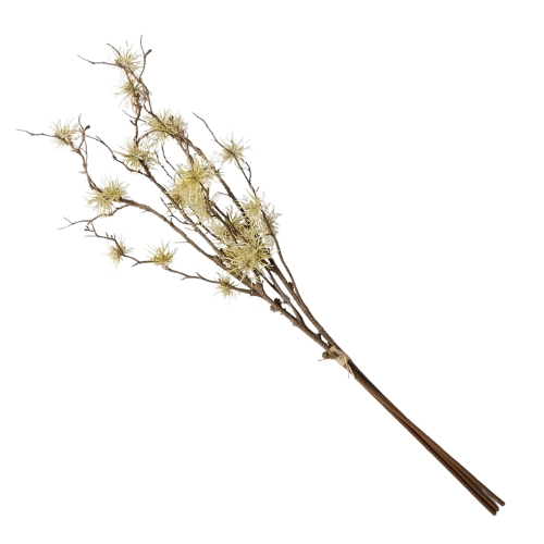 West Elm UK, Thistle Stem