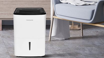 5 dehumidifier benefits that make it a home essential | Livingetc