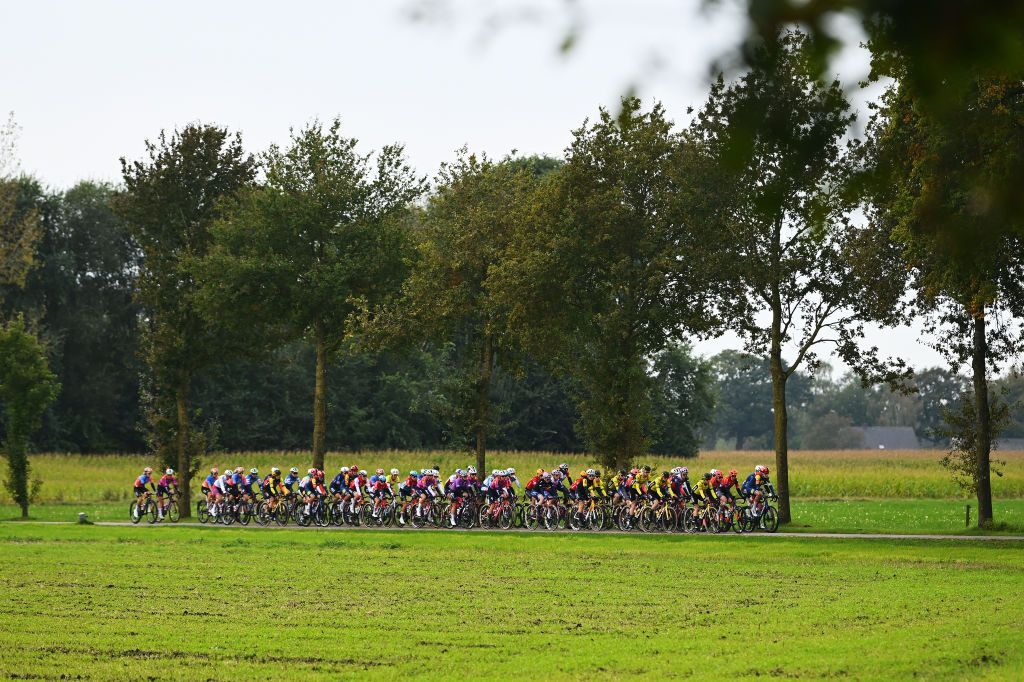 DOETINCHEM NETHERLANDS OCTOBER 12 A general view of the peloton competing during the 26th Simac Ladies Tour 2024 Stage 5 a 140km stage from Doetinchem to Doetinchem UCIWWT on October 12 2024 in Doetinchem Netherlands Photo by Luc ClaessenGetty Images