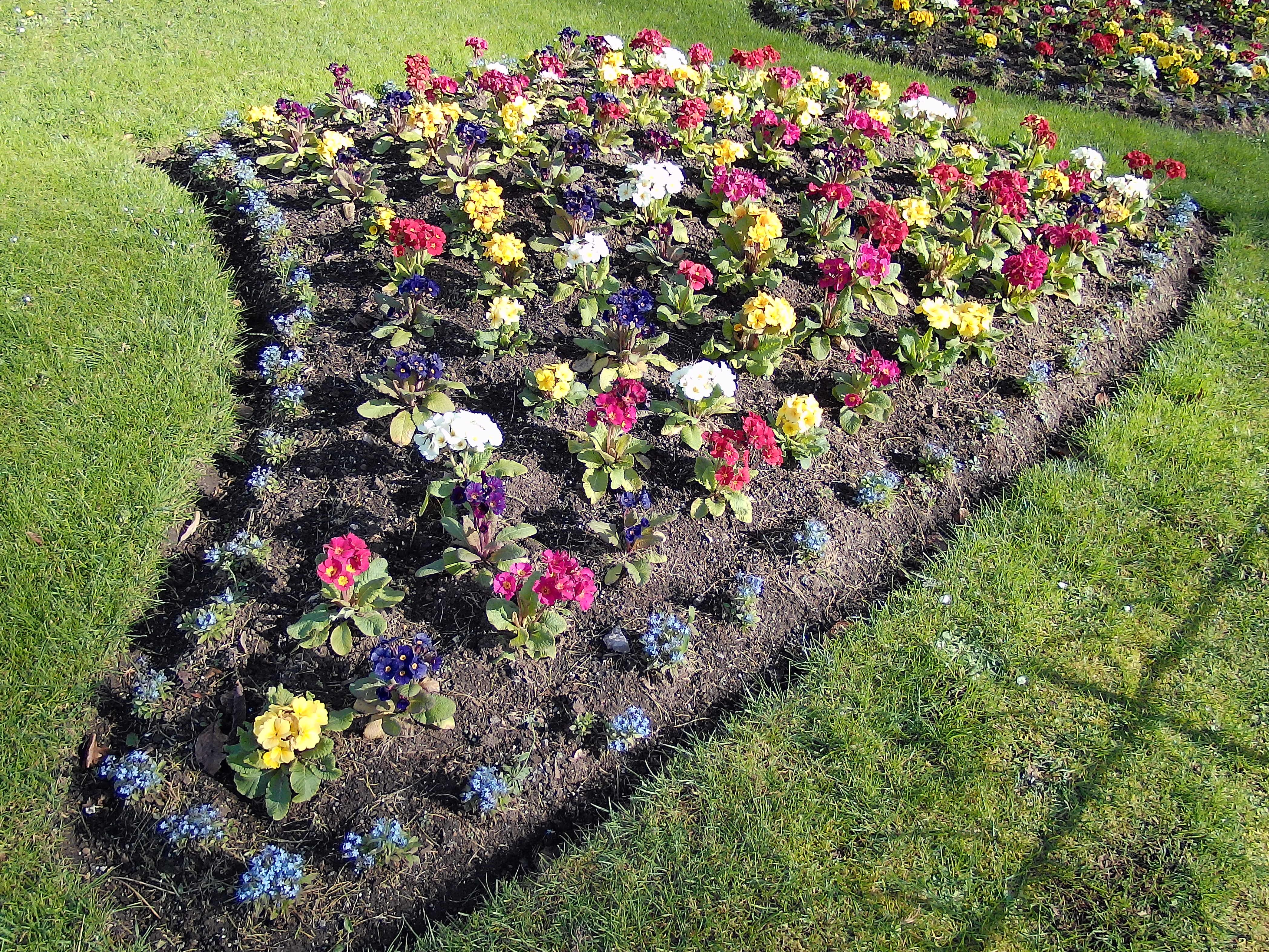 Yashica FX-D 100 sample image