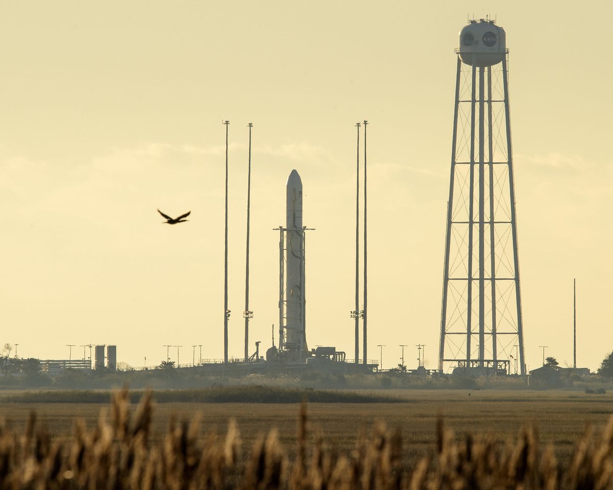 The Northrop Grumman Antares rocket, topped with the Cygnus NG-12 cargo resupply spacecraft, stands on Pad-0A of NASA's Wallops Flight Facility on the morning of Nov. 2, 2019, just hours before its planned launch.