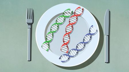 DNA strands on plate