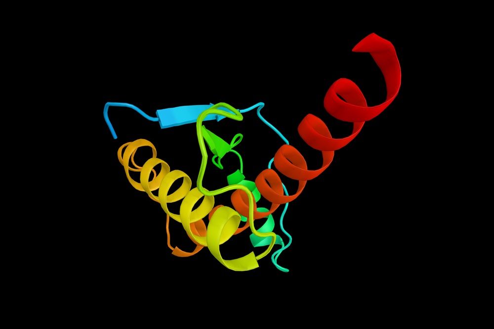 protein folding