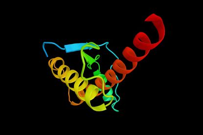 protein folding