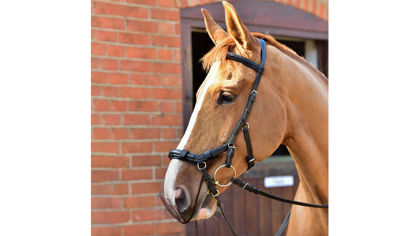 Equilibrium Net Relief Muzzle Net for Micklem bridles