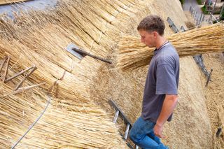 A thatcher rethatching a thatched house roof
