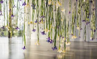 Flower power: Rebecca Louise Law lends her green-fingered talents to Now Gallery