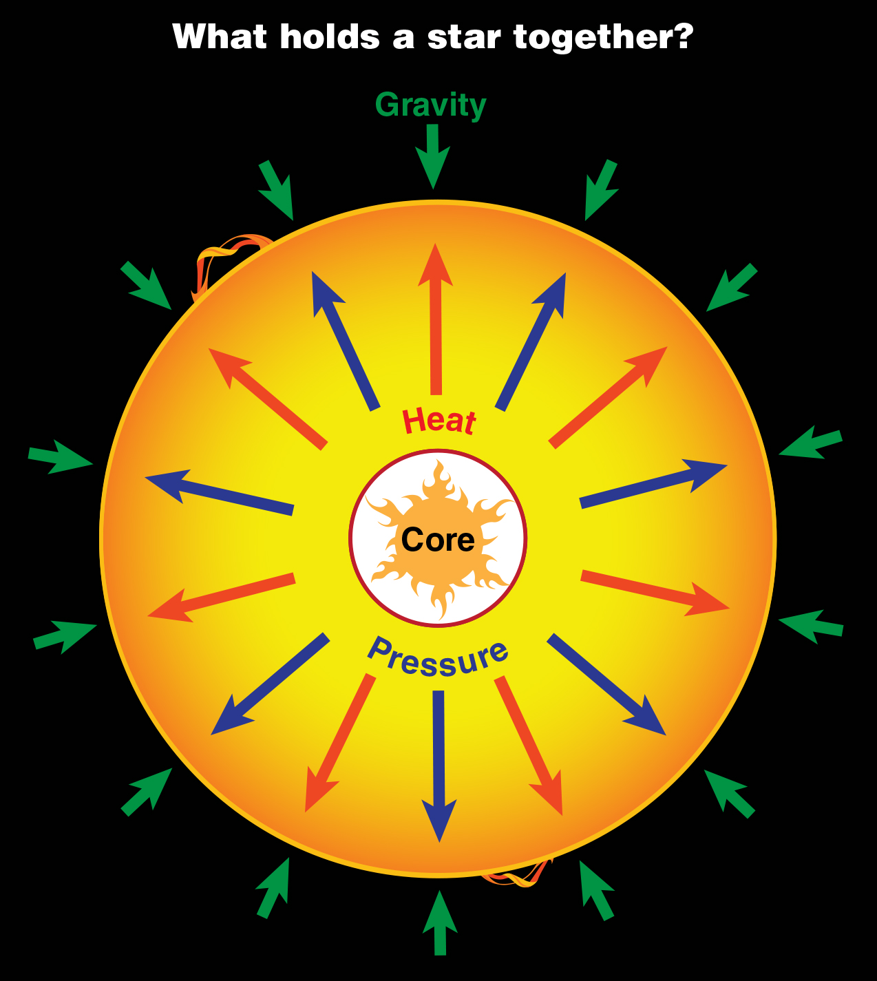 A diagram showing the balance between fusion and gravity in a star.