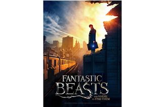 Top Toys 2017: Fantastic Beasts and Where to Find Them 2D Puzzle Poster