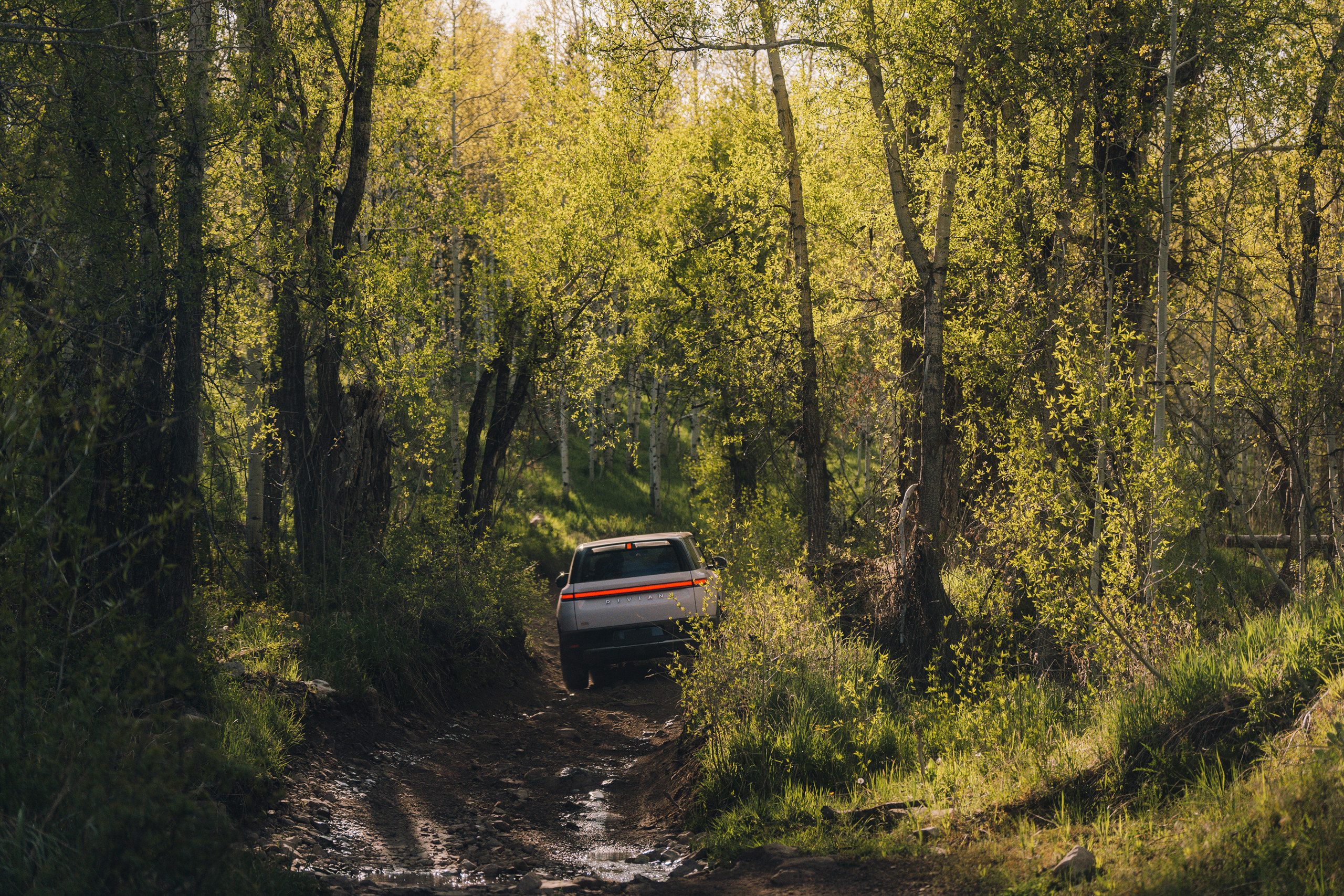 Into the wild with the Rivian R2