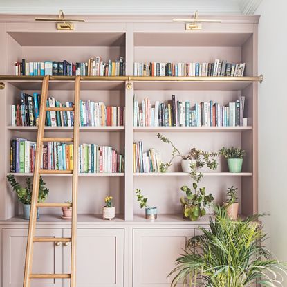 Pink book shelves stacked full of books