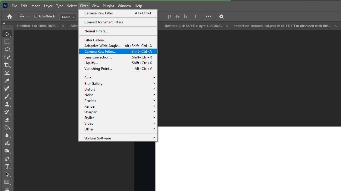 Screenshot of Photoshop with Camera Raw Filter highlighted in the Filter menu.