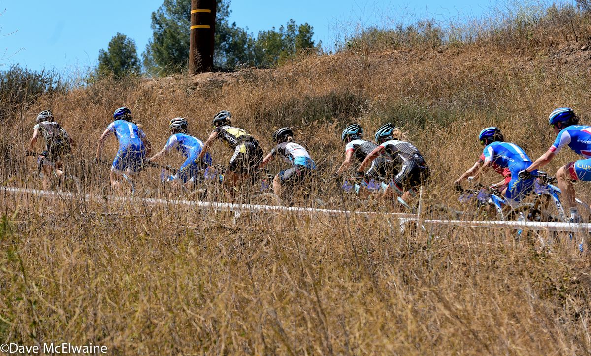 The lead pack maker their way through the tall grasses on the backside of the course
