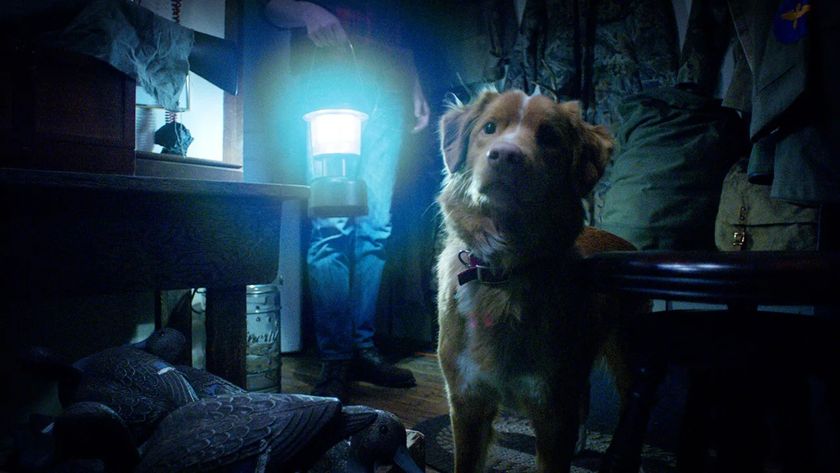 Indy in Ben Leonberg&#039;s haunted house horror Good Boy