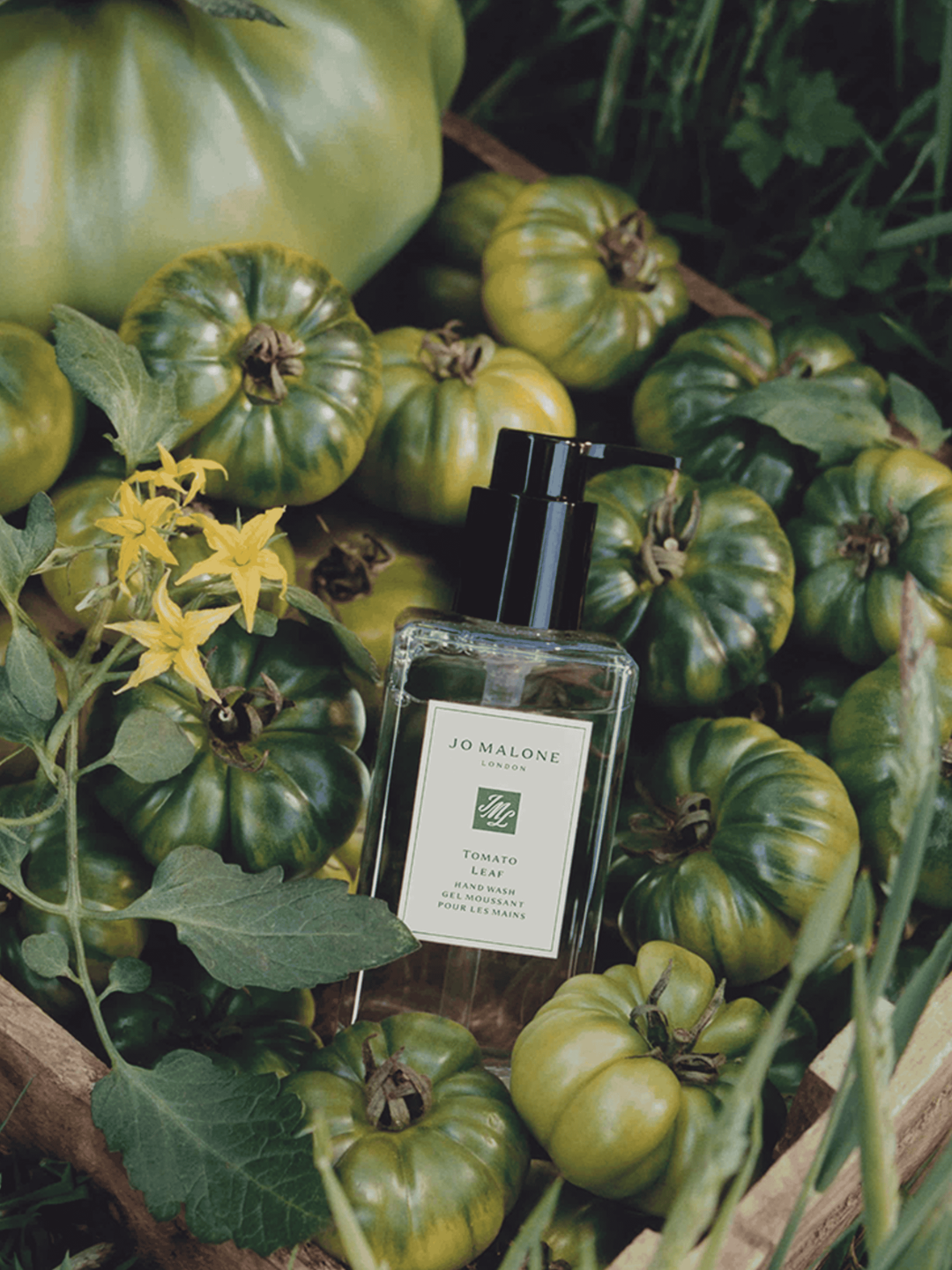 A hand wash from Jo Malone London in a basket of green heirloom tomatoes
