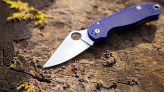 how to clean a pocketknife: shiny pocketknife