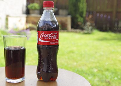 Glass And Plastic Bottle Of Coca-Cola In Garden