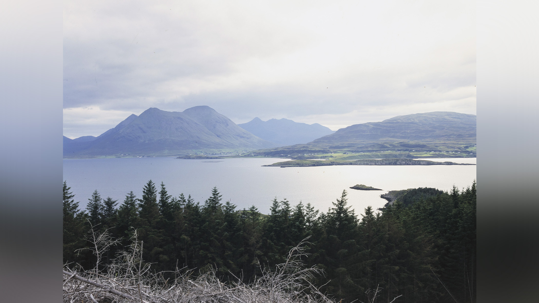 A landscape.
