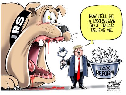 Political Cartoon U.S. IRS tax reform Trump