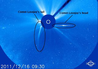 Head and Tail of Comet Lovejoy After It Survived the Sun