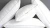 Scooms Hungarian Goose Down pillow