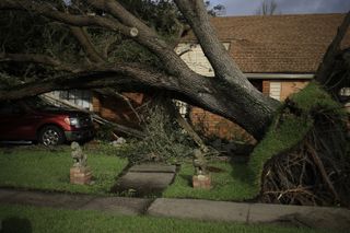 Hurricane Ida: A tree uprooted by Hurricane Ida in LaPlace, Louisiana, U.S., on Monday, Aug. 30, 2021.