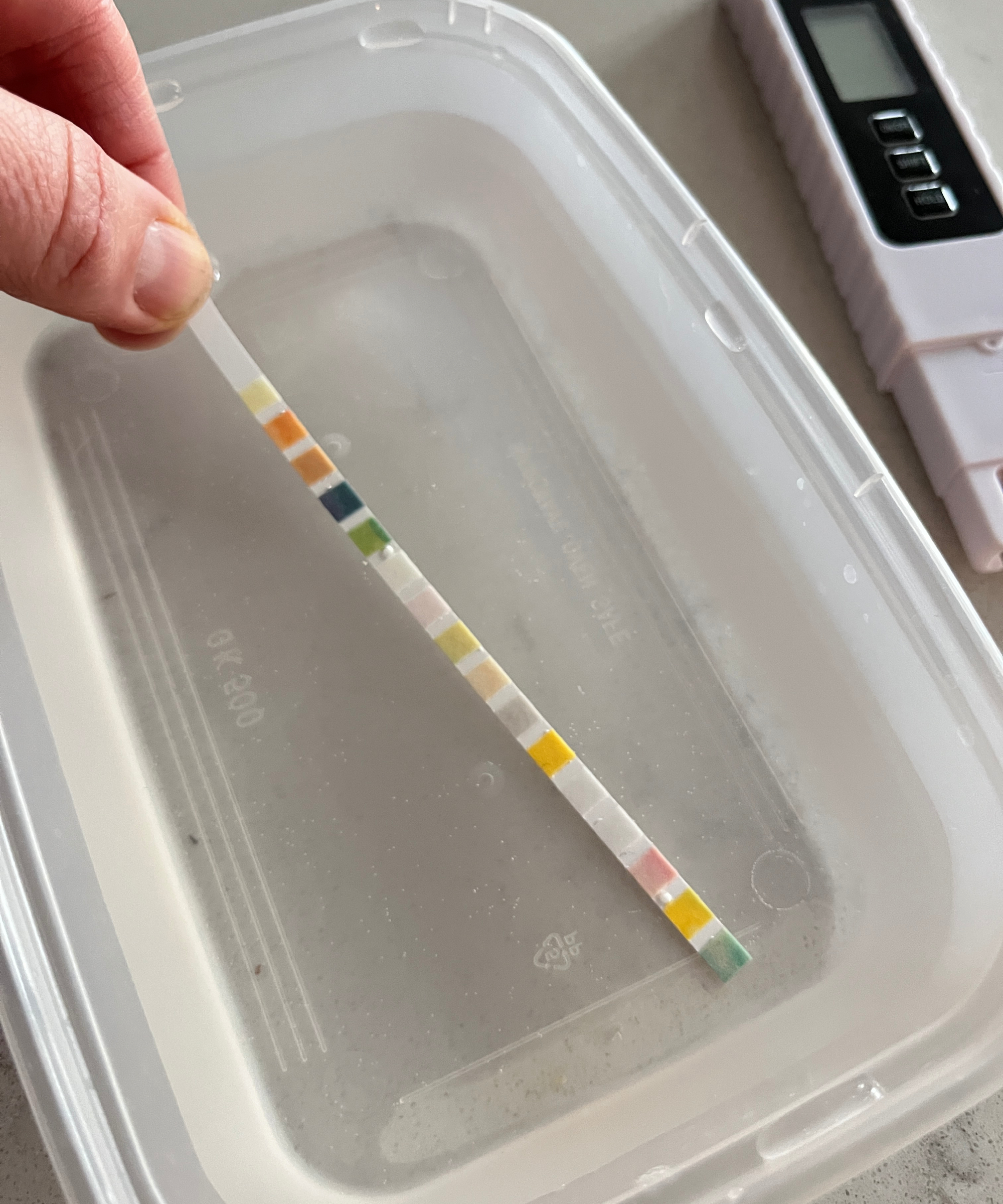 water testing strip being held in container of clean water