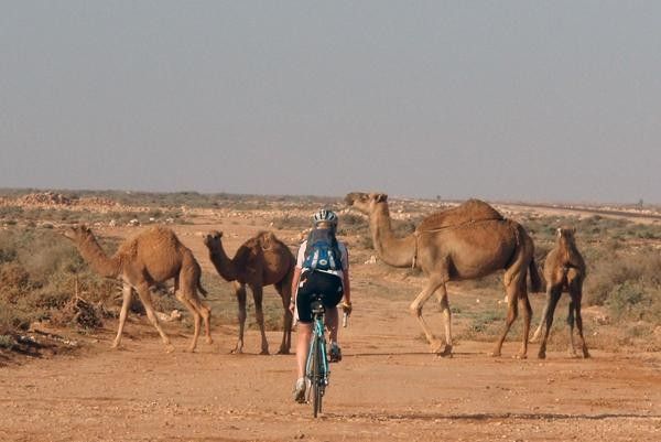 One rider enjoyed some unusual company