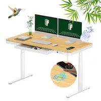 FlexiSpot  Q8 Bamboo Standing Desk