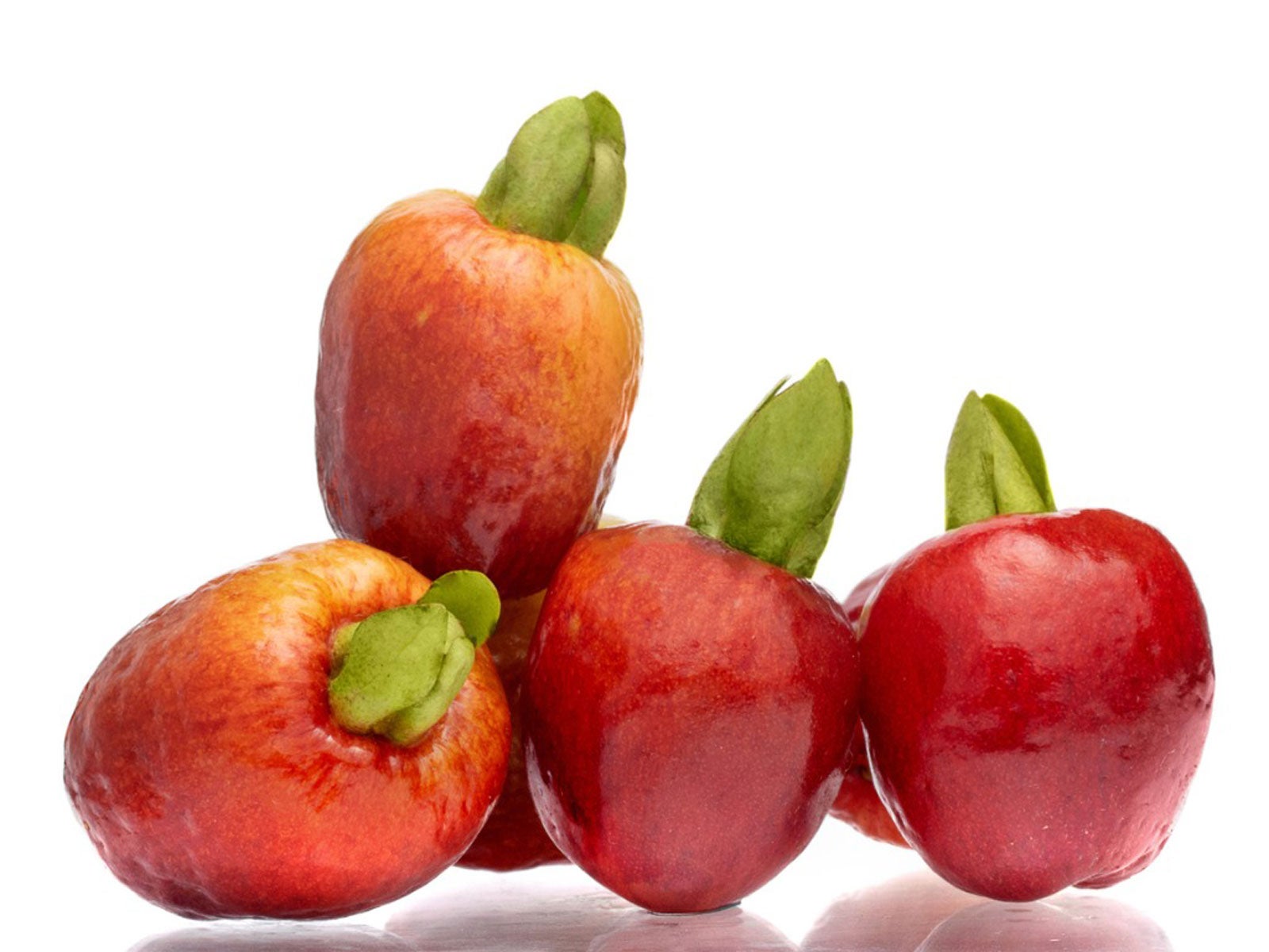 Cherry Of The Rio Grande Care – Growing A Cherry Of The Rio Grande |  Gardening Know How