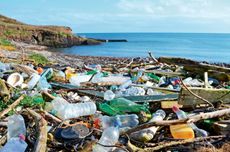 Plastic bottles and other rubbish washed up on a beach in County Cork, Ireland.