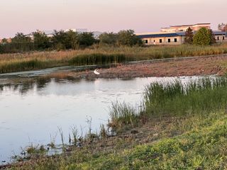 iPhone 13 Pro camera samples with telephoto