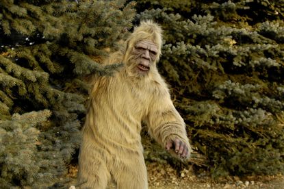 DNA testing unable to prove existence of Bigfoot