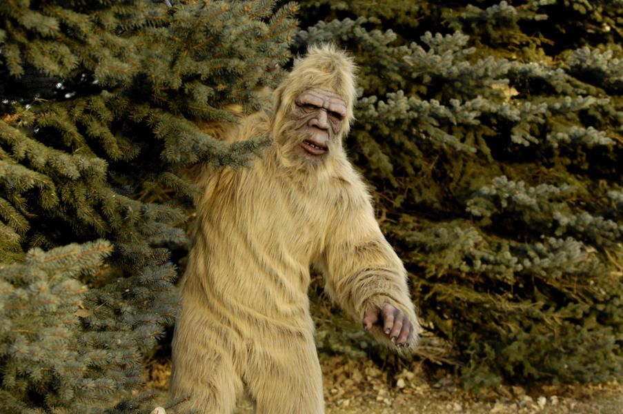 DNA testing unable to prove existence of Bigfoot