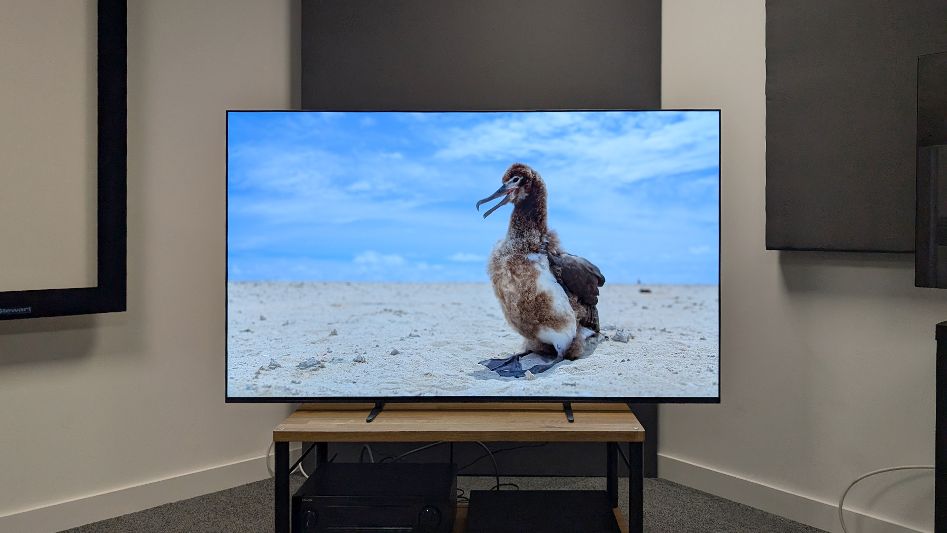 Sony Bravia 8 (K65XR80)