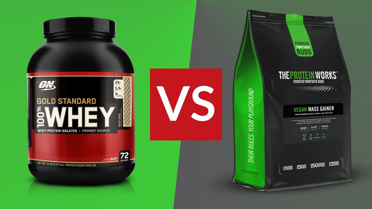 mass gainer vs protein powder