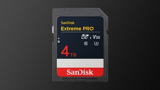 SanDisk Extreme Pro SDUC V30 4TB