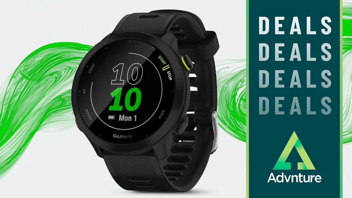 Garmin Forerunner 55 watch