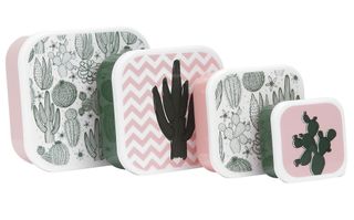 Lunch boxes with white background