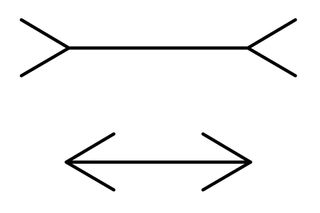 Two black lines over a white background. The line at the top has two lines on each end that form arrows pointing inward toward the line. The one at the bottom has two lines at each end forming arrows that point outward away from the line