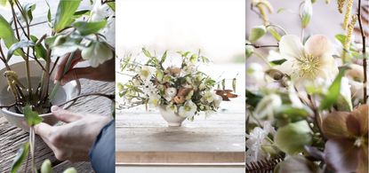 winter floral table centerpiece with ranunculas and hellebores step by step