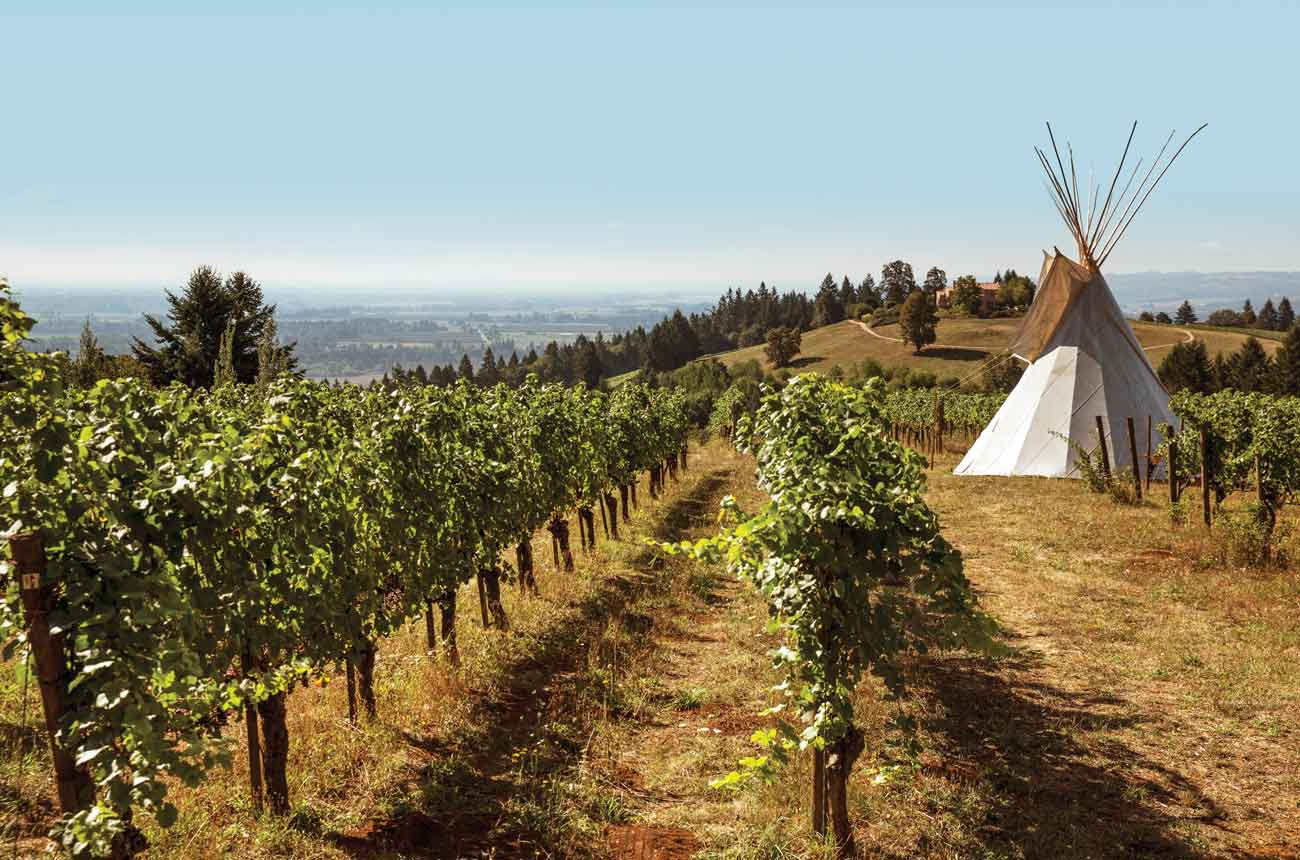 Pinot Noir from around the world