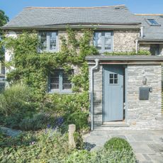 Cottage with foliage growing up it, a blue front door, a wild front garden and a stone driveway